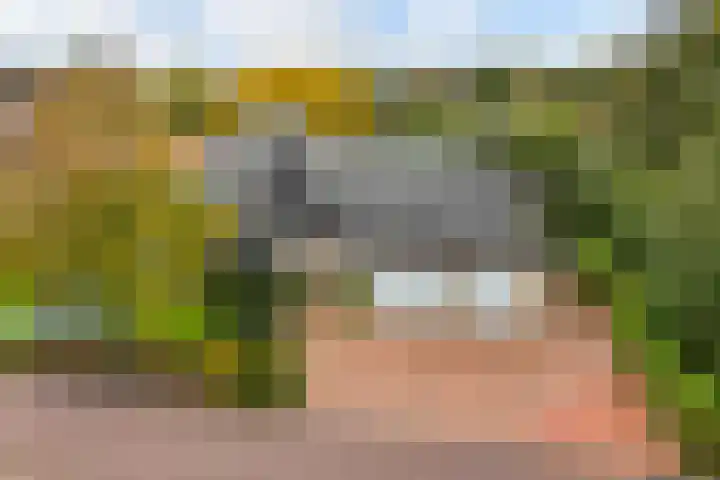 Lakkerskamp 3 Eibergen thumbnail 9