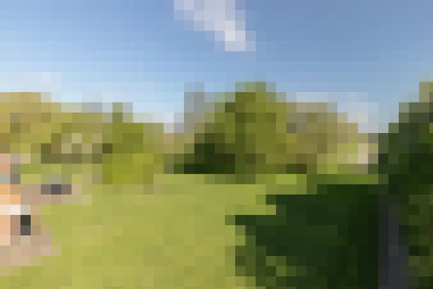 Lalleweer 2 Borgsweer thumbnail 10