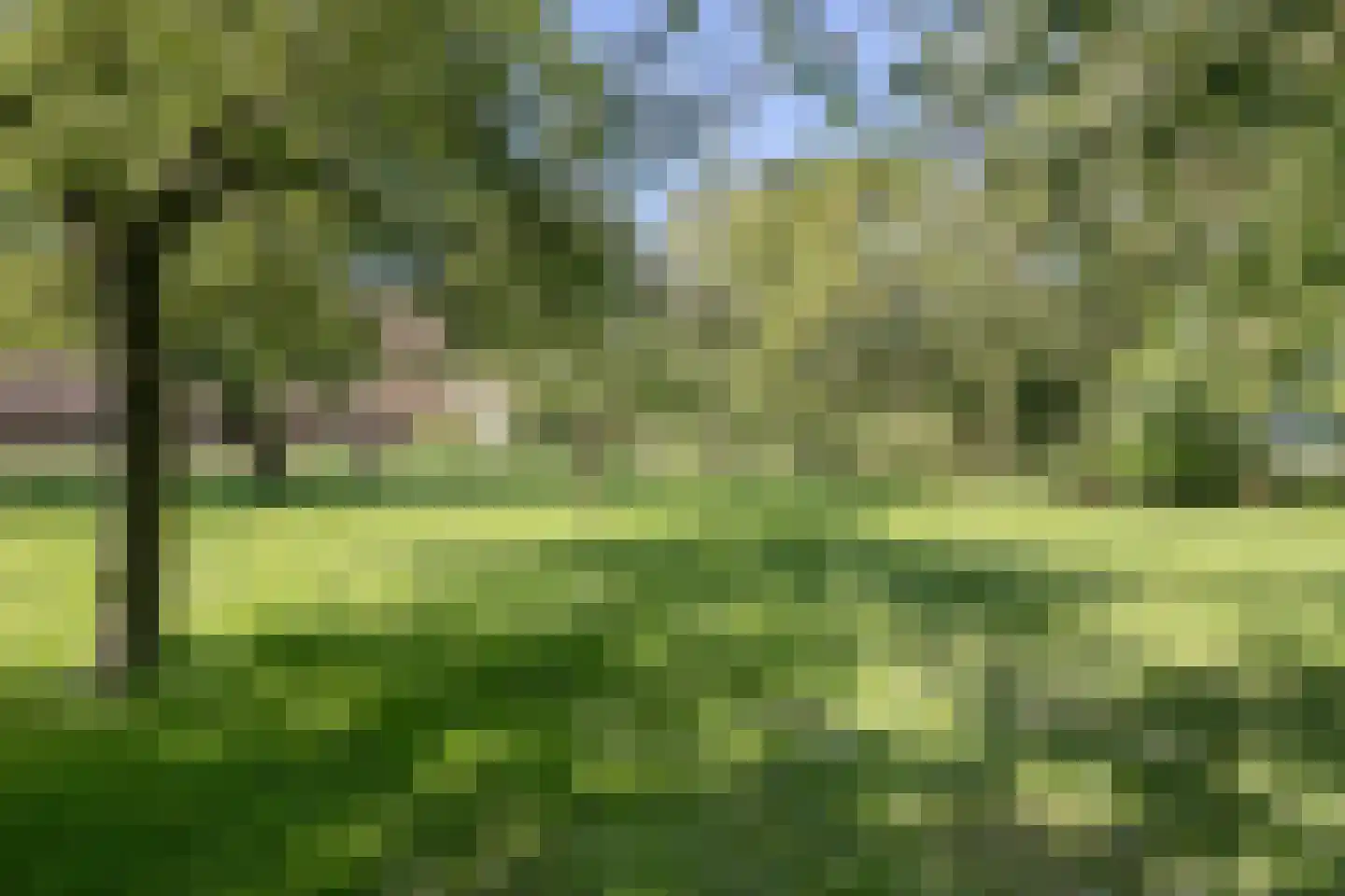 Lalleweer 2 Borgsweer thumbnail 11