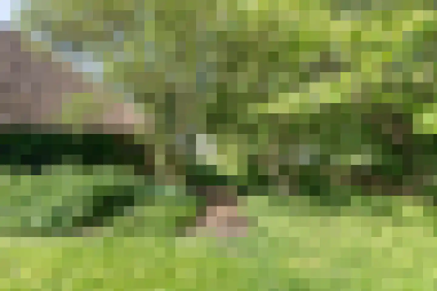 Lalleweer 2 Borgsweer thumbnail 14