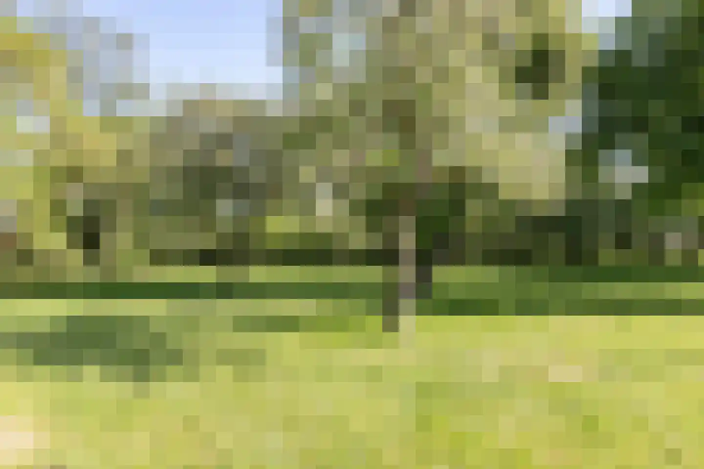 Lalleweer 2 Borgsweer thumbnail 15