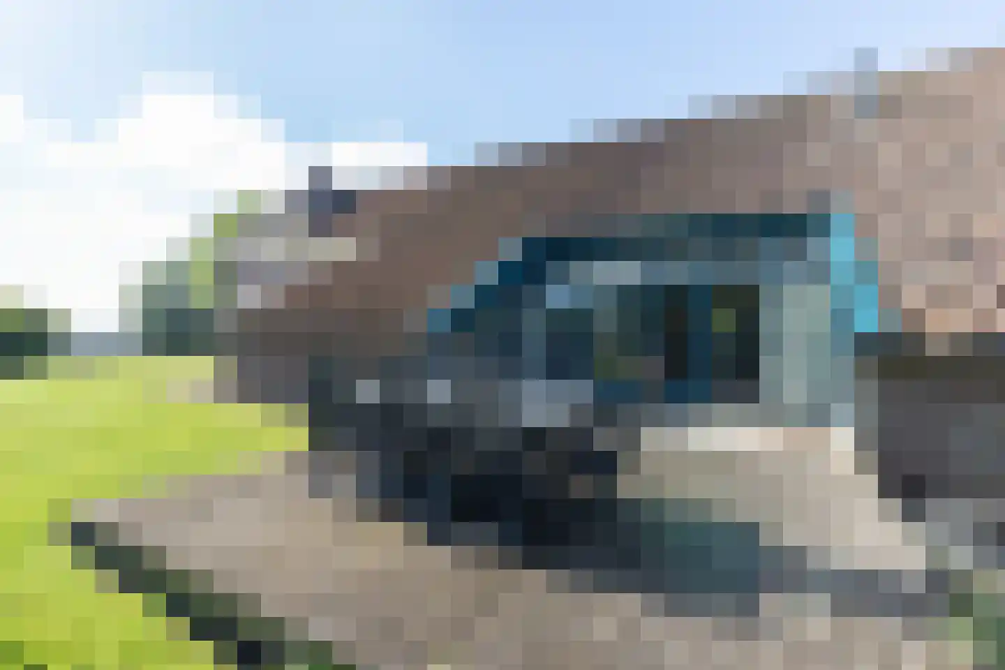 Lalleweer 2 Borgsweer thumbnail 17