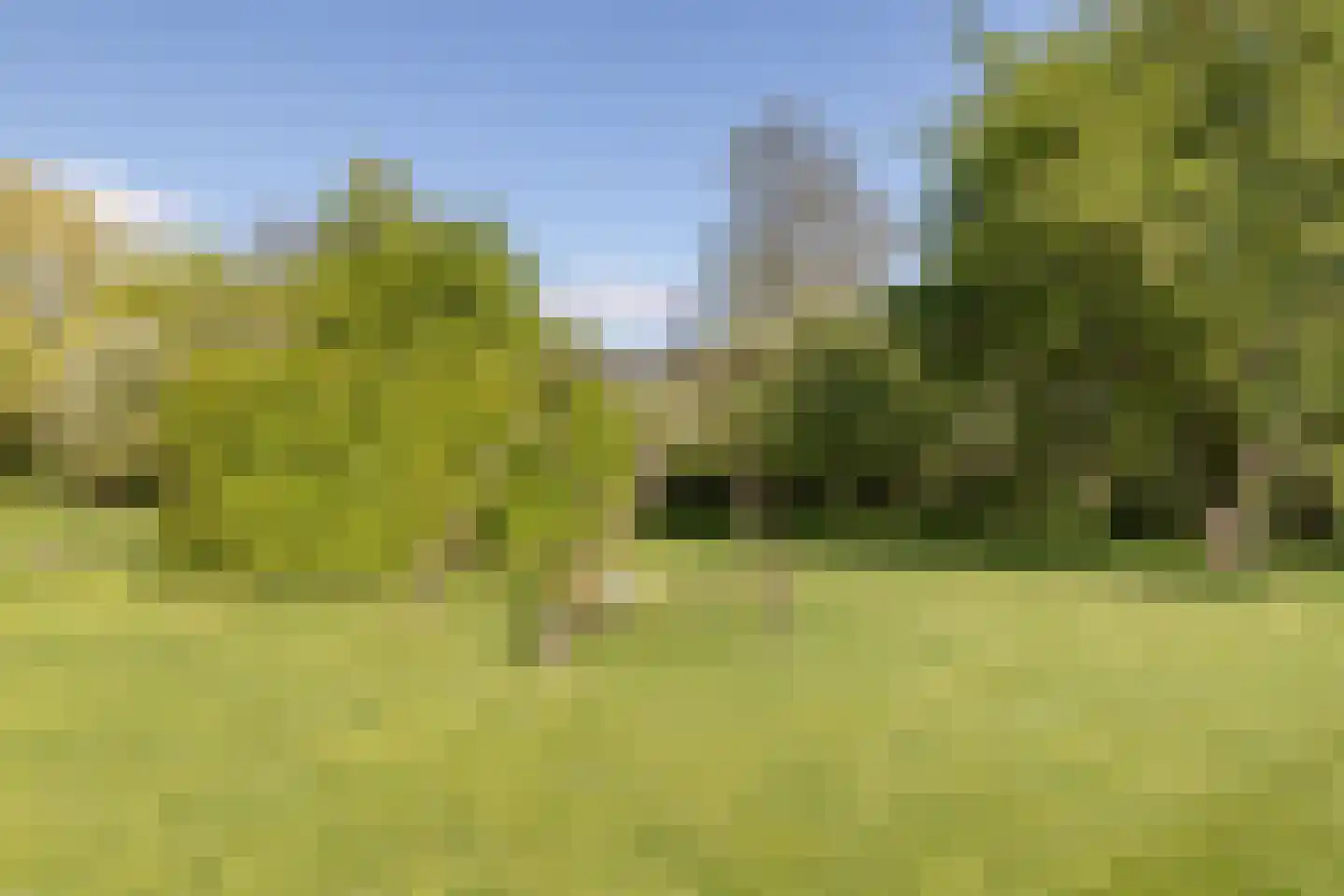 Lalleweer 2 Borgsweer thumbnail 21