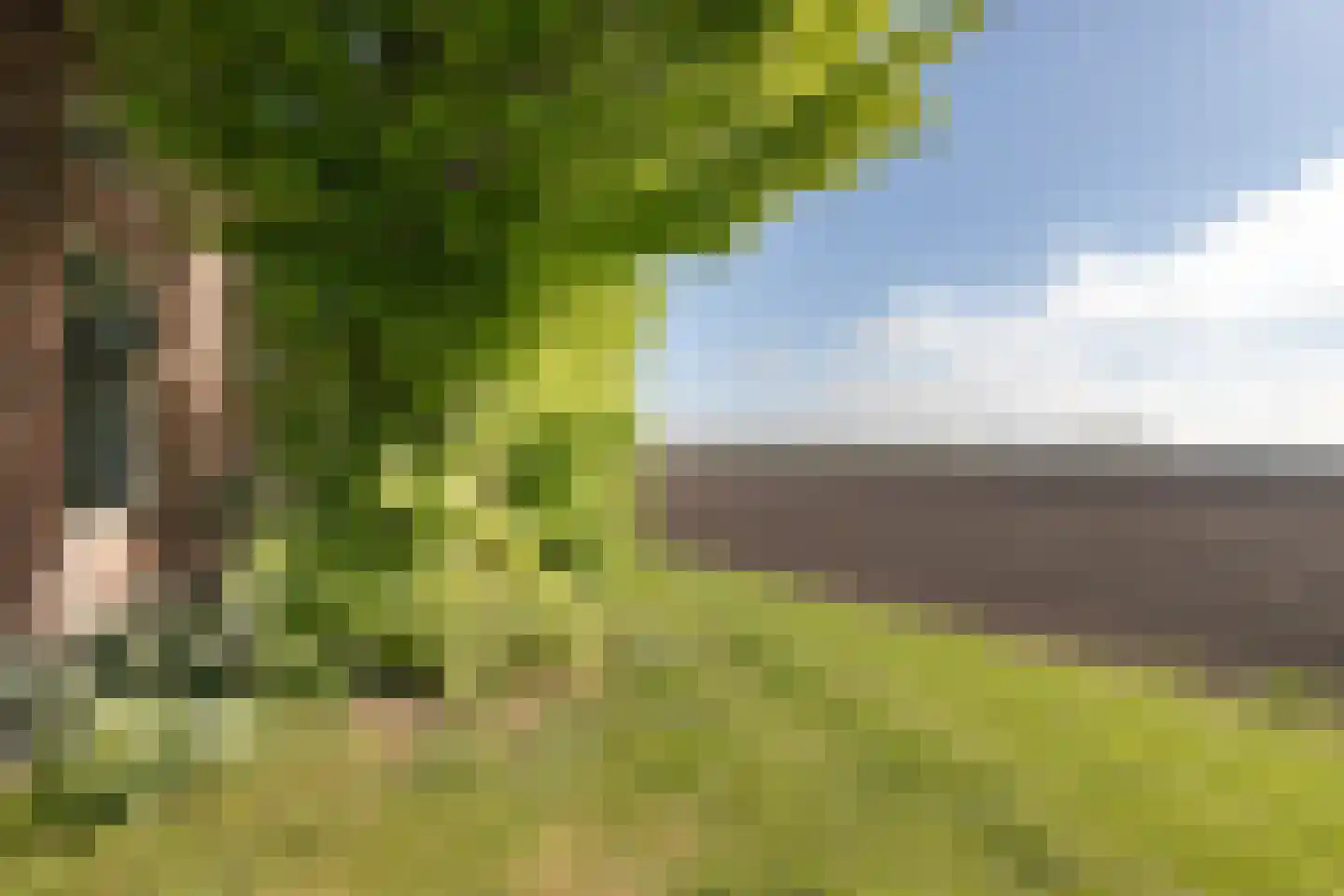 Lalleweer 2 Borgsweer thumbnail 26
