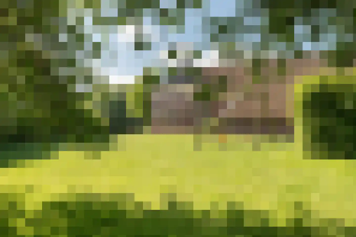 Lalleweer 2 Borgsweer thumbnail 4