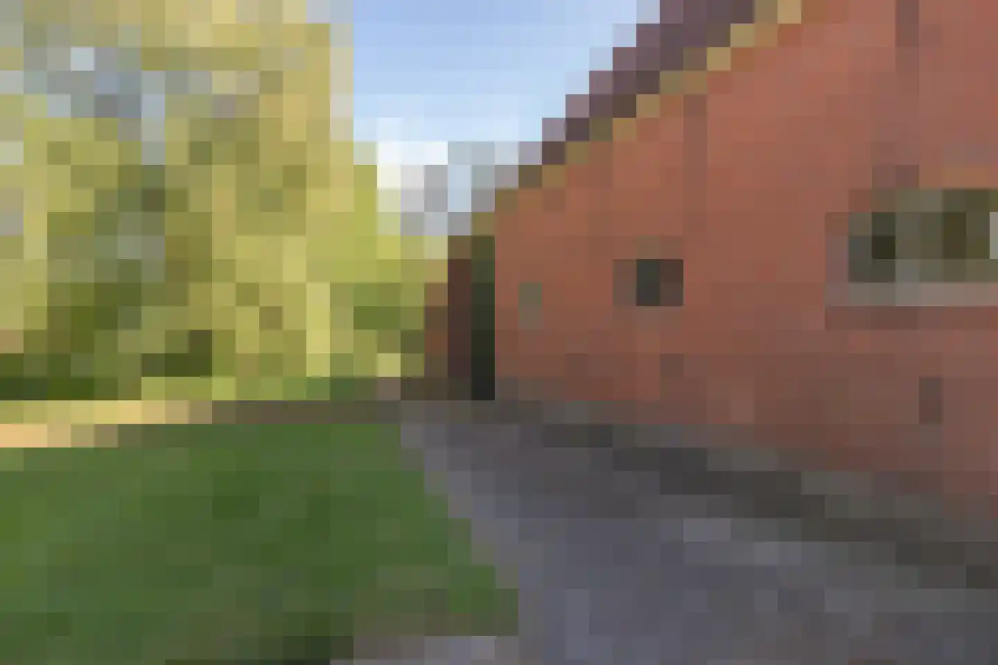 Lalleweer 2 Borgsweer thumbnail 6