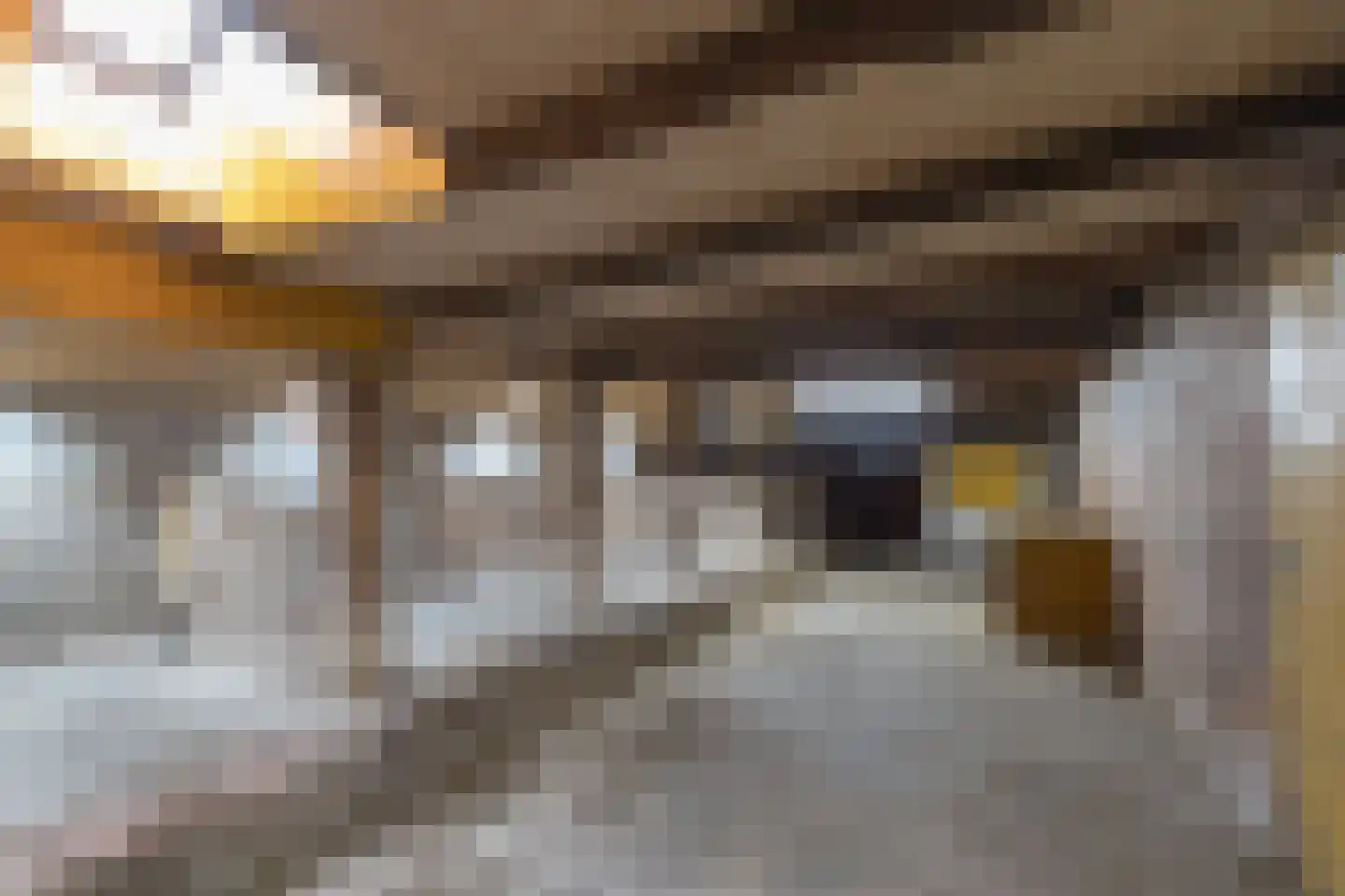 Lalleweer 2 Borgsweer thumbnail 65