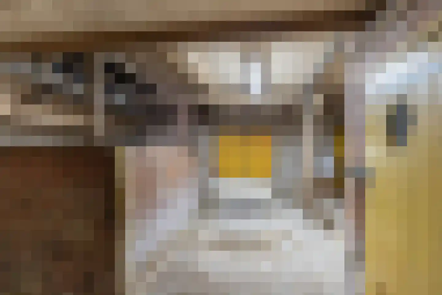 Lalleweer 2 Borgsweer thumbnail 66