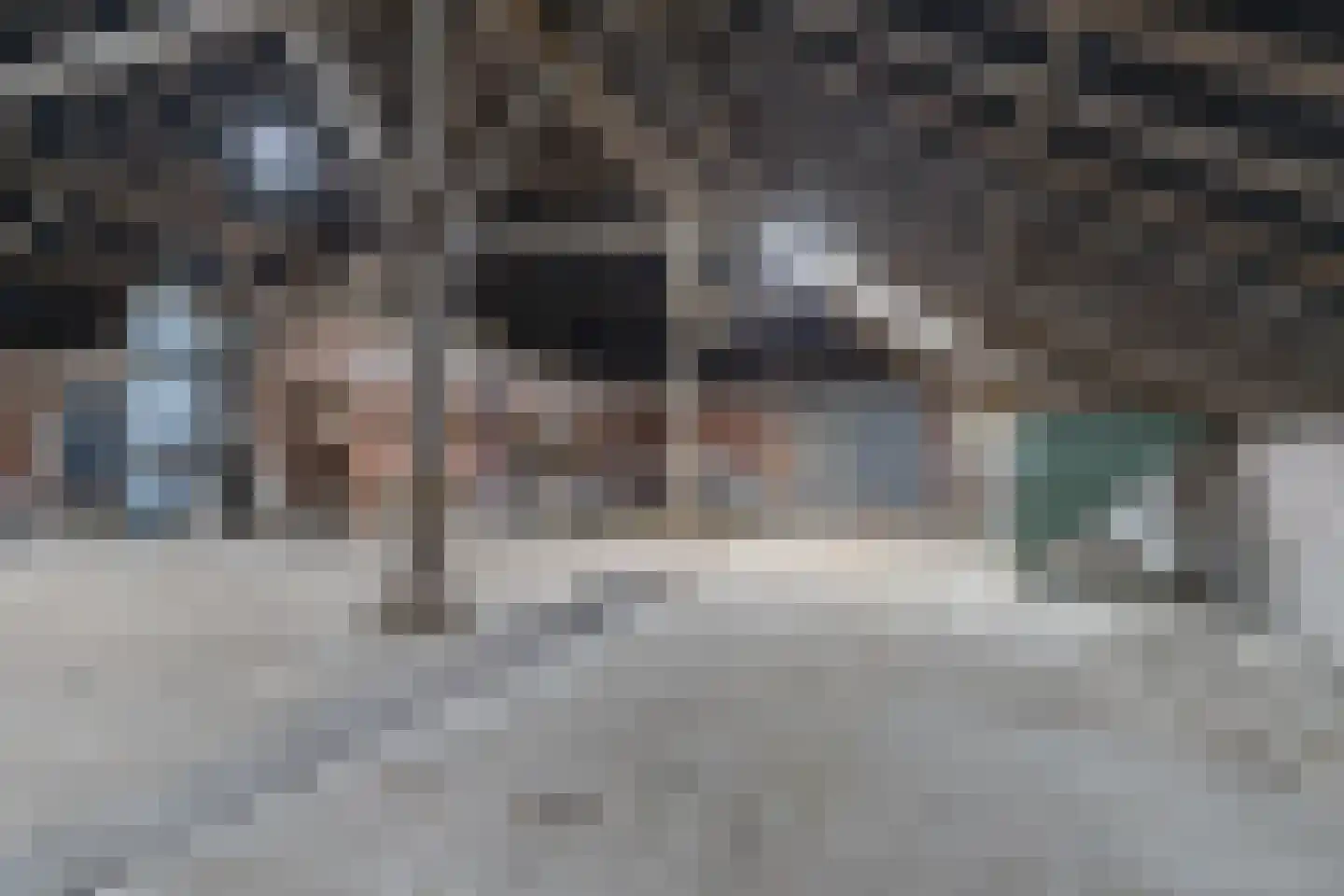 Lalleweer 2 Borgsweer thumbnail 71