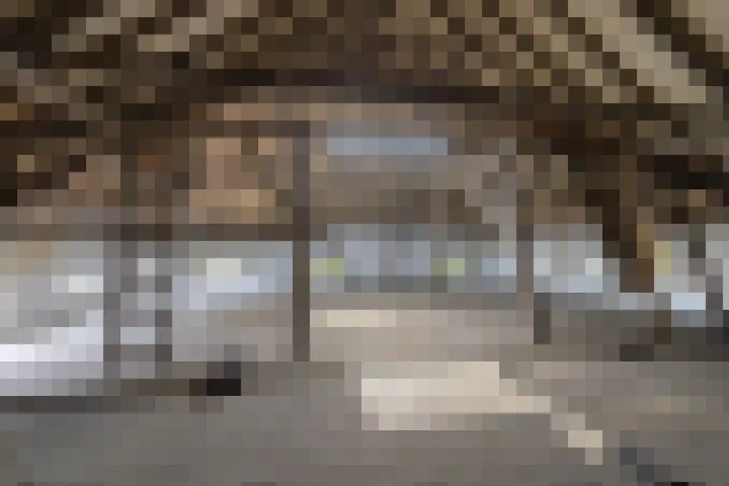 Lalleweer 2 Borgsweer thumbnail 72