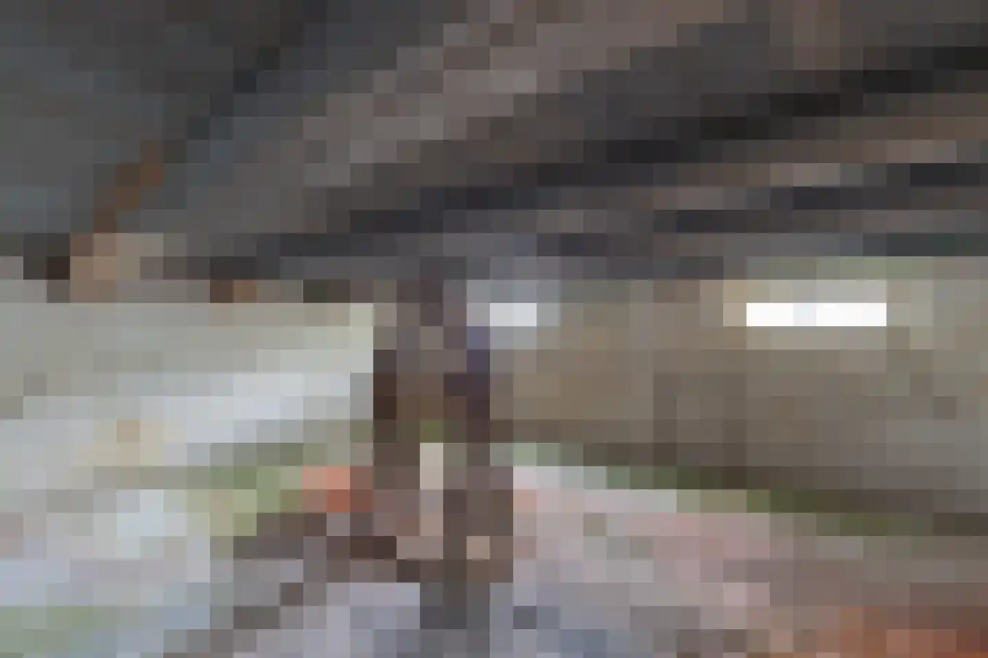 Lalleweer 2 Borgsweer thumbnail 75