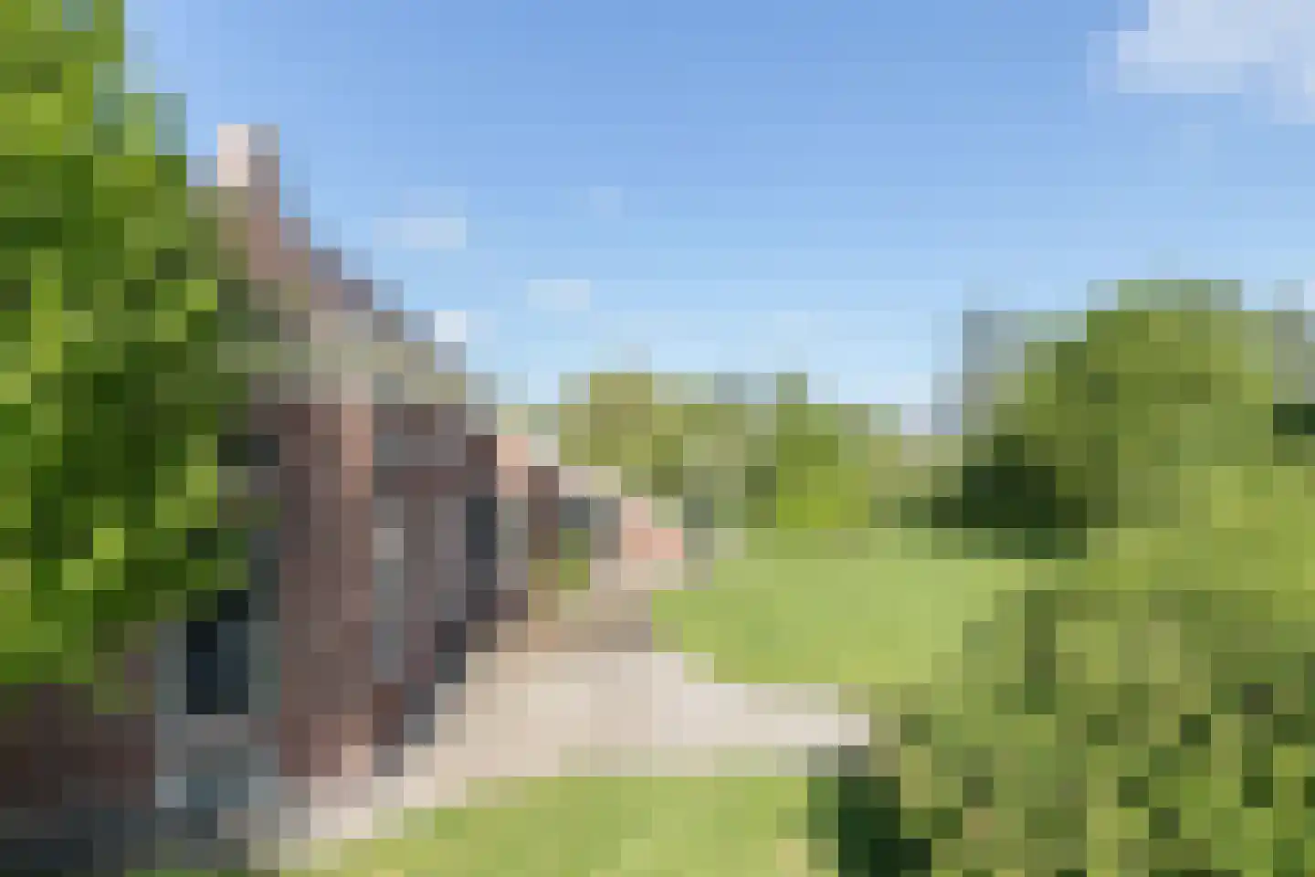 Lalleweer 2 Borgsweer thumbnail 8