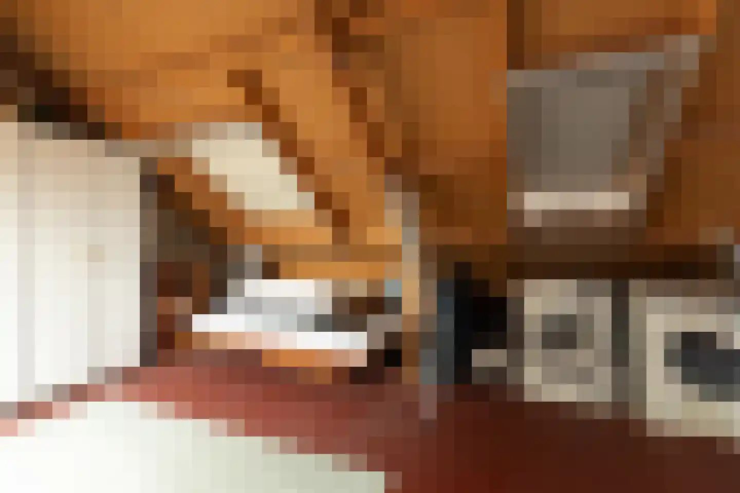 Lama 52 Huizen thumbnail 26
