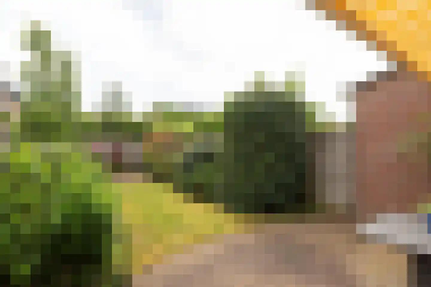 Lama 52 Huizen thumbnail 27