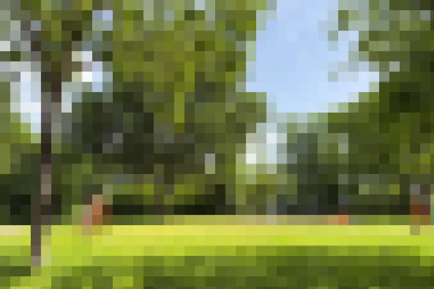 Lama 52 Huizen thumbnail 30