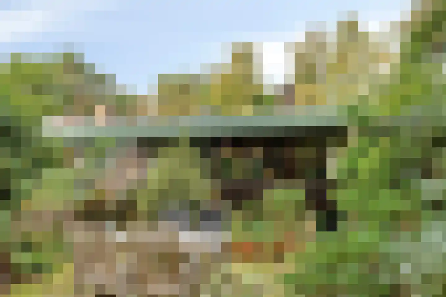 Laman Trip-plantsoen 18 Doorwerth thumbnail 55