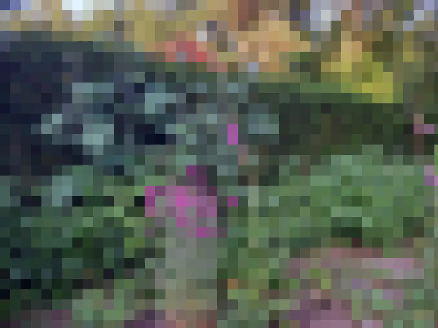 Laman Trip-plantsoen 18 Doorwerth thumbnail 59