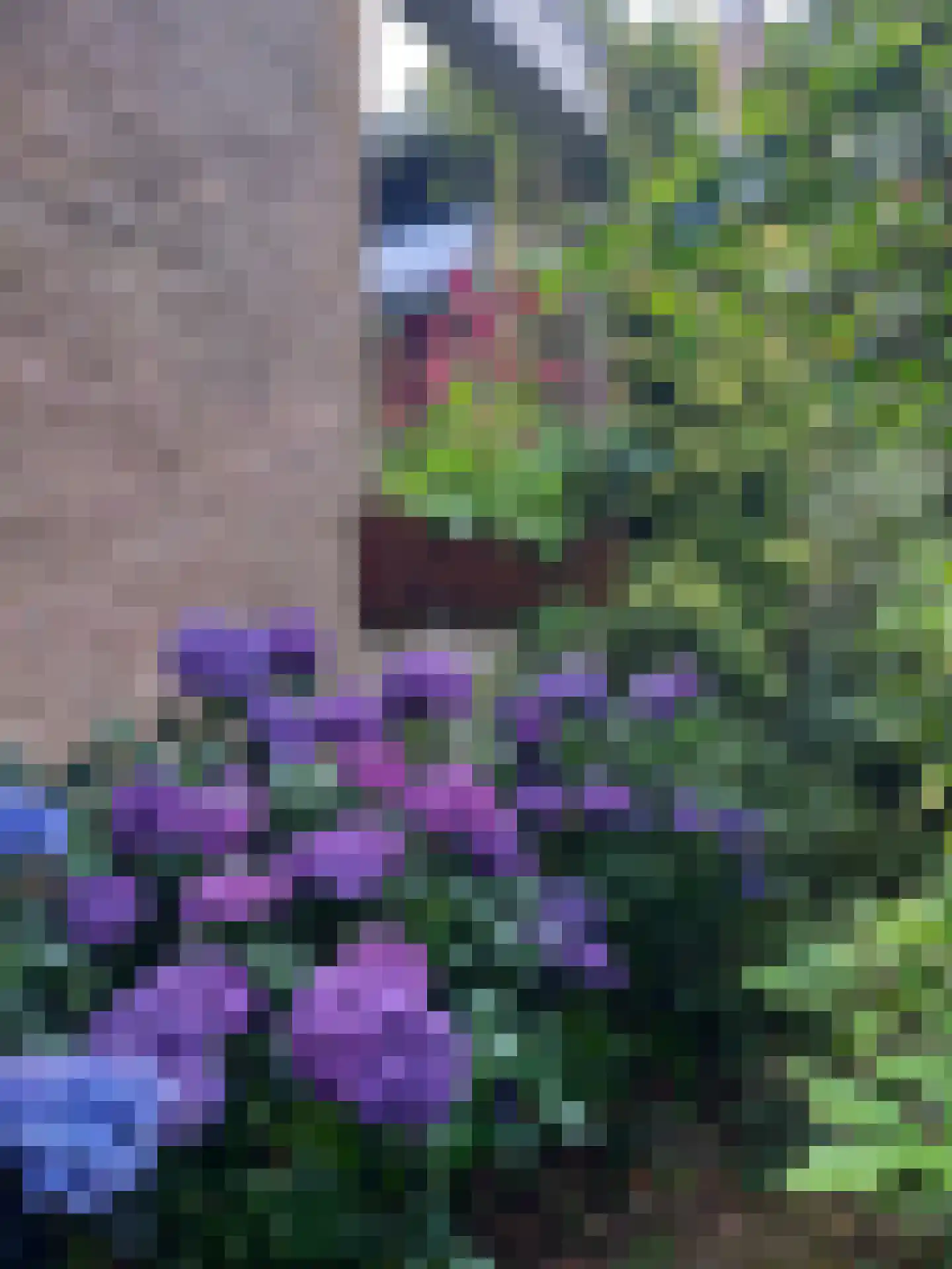 Laman Trip-plantsoen 18 Doorwerth thumbnail 60