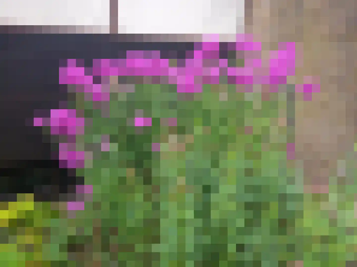 Laman Trip-plantsoen 18 Doorwerth thumbnail 61