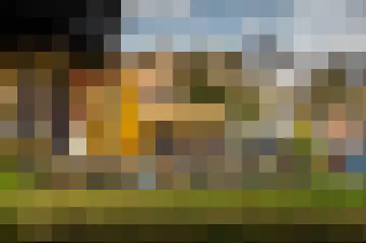 Lamarckhof 10 1 Amsterdam thumbnail 19