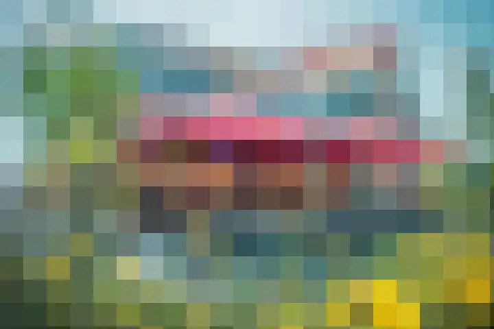 Lamarckhof 10 1 Amsterdam thumbnail 20