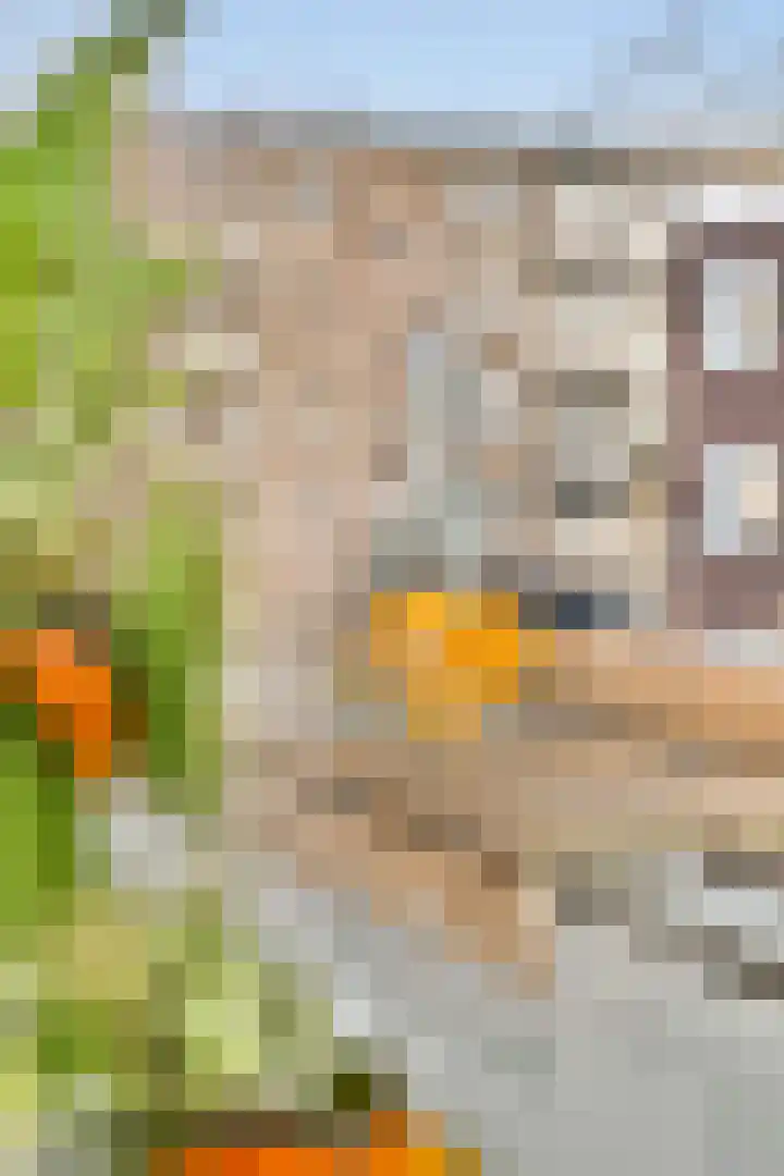 Lamarckhof 10 1 Amsterdam thumbnail 6