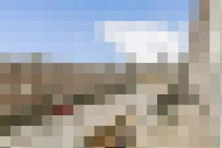 Lamarckhof 10 1 Amsterdam thumbnail 7
