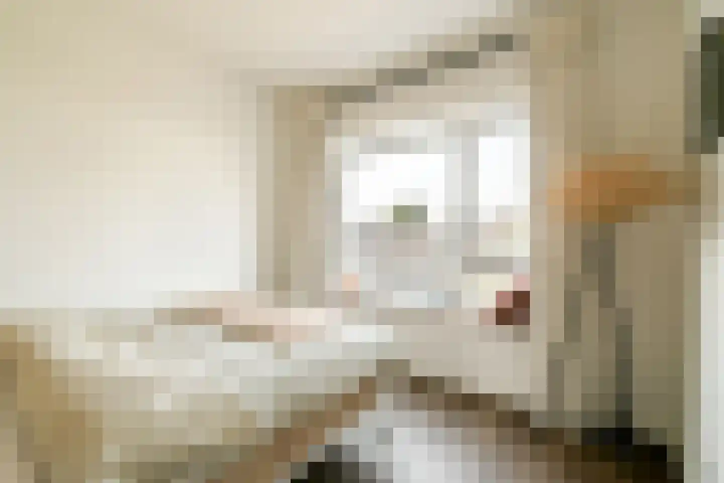Lamarckhof 10 1 Amsterdam thumbnail 9