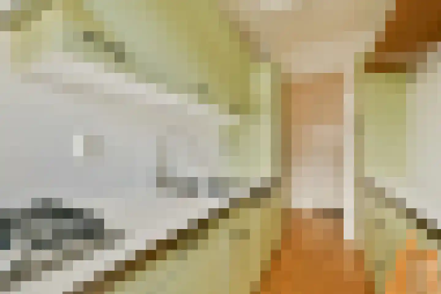 Lamarckhof 11 2 Amsterdam thumbnail 11