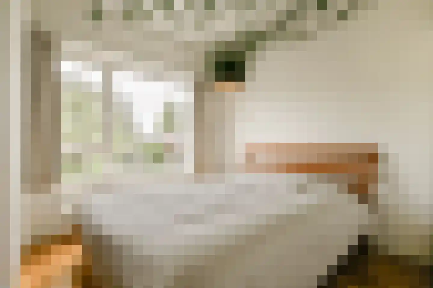 Lamarckhof 11 2 Amsterdam thumbnail 12