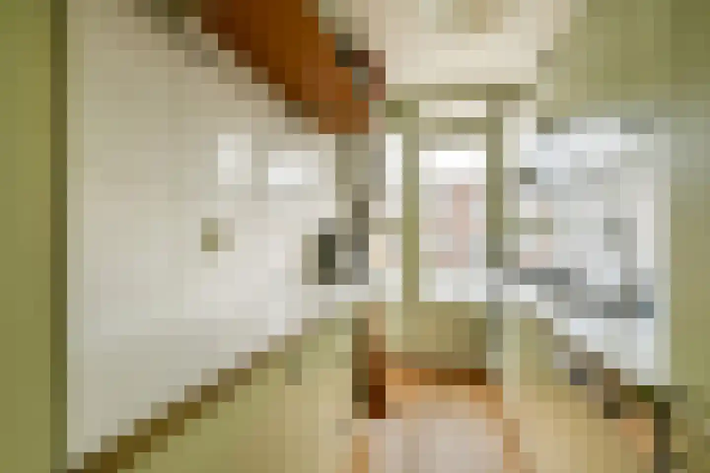 Lamarckhof 11 2 Amsterdam thumbnail 9