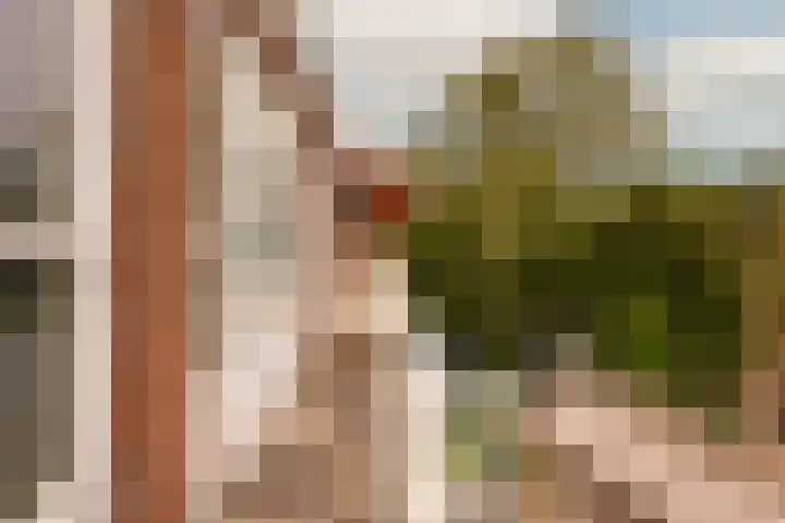 Lamarckhof 12 H Amsterdam thumbnail 19