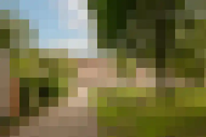 Lamarckhof 12 H Amsterdam thumbnail 31