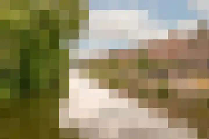 Lamarckhof 12 H Amsterdam thumbnail 32