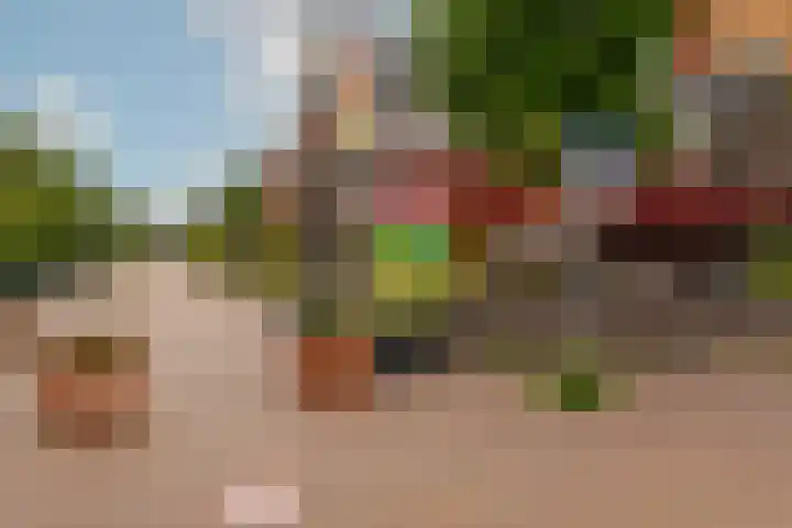 Lamarckhof 12 H Amsterdam thumbnail 33