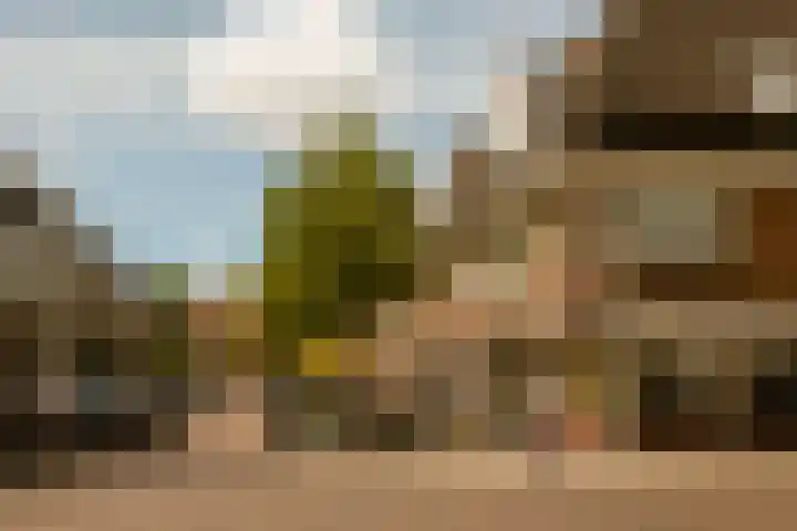 Lamarckhof 12 H Amsterdam thumbnail 34