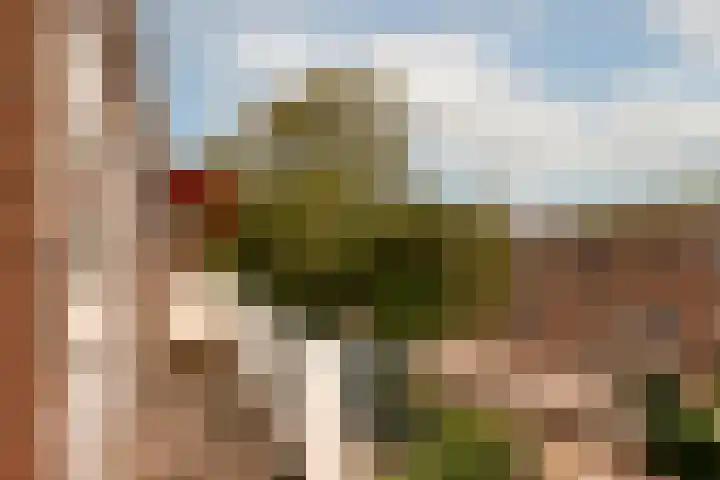 Lamarckhof 12 H Amsterdam thumbnail 4