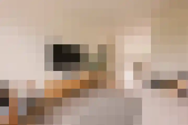 Lamarckhof 12 H Amsterdam thumbnail 7