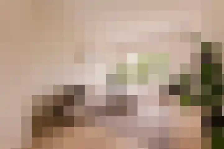 Lamarckhof 12 H Amsterdam thumbnail 8