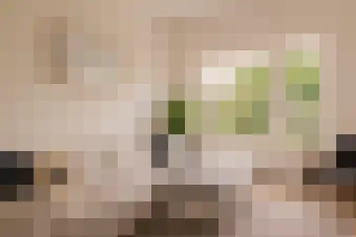 Lamarckhof 12 H Amsterdam thumbnail 9