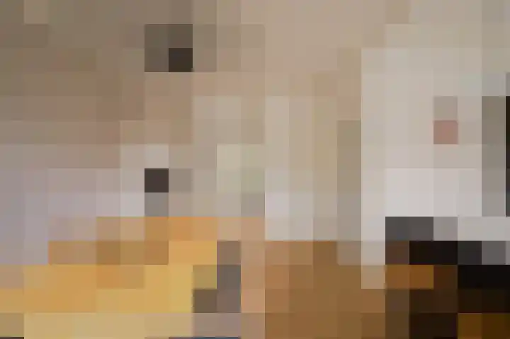 Lamarckhof 14 2 Amsterdam thumbnail 16