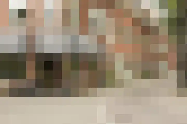 Lamarckhof 14 2 Amsterdam thumbnail 25