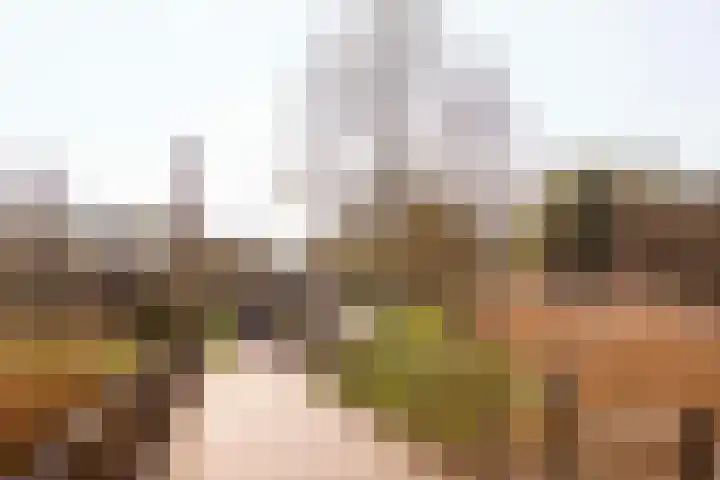 Lamarckhof 14 2 Amsterdam thumbnail 28
