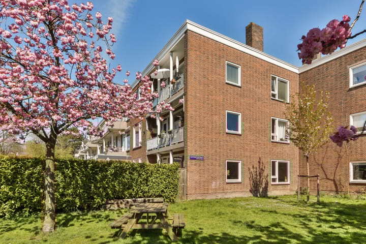 Lamarckhof 7-1 dans Amsterdam photo