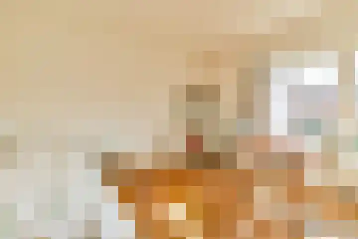 Lamarckhof 7 H Amsterdam thumbnail 11