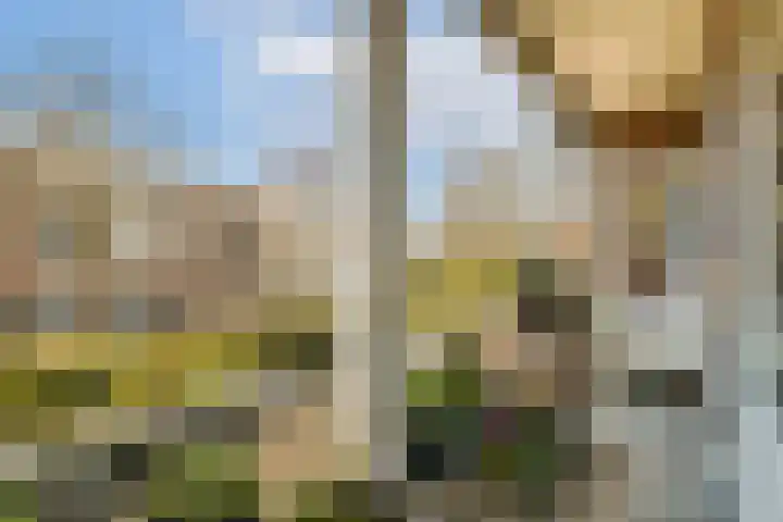 Lamarckhof 7 H Amsterdam thumbnail 17