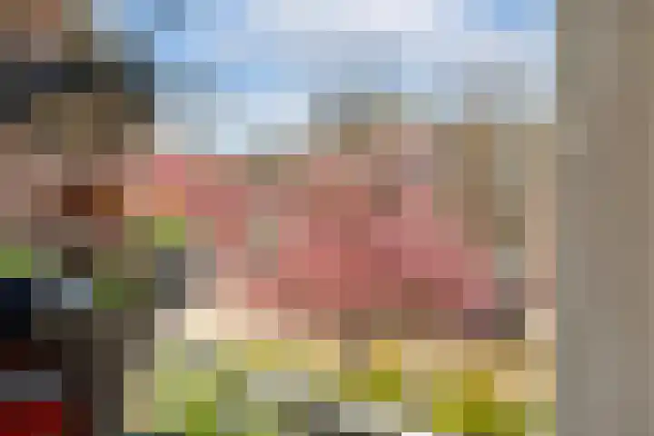 Lamarckhof 7 H Amsterdam thumbnail 19