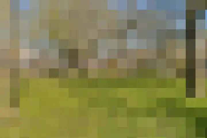 Lamarckhof 7 H Amsterdam thumbnail 25