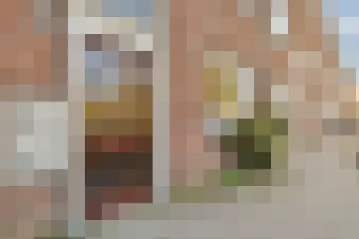 Lamarckhof 7 H Amsterdam thumbnail 6