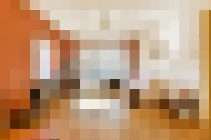 Lamarckhof 7 H Amsterdam thumbnail 9
